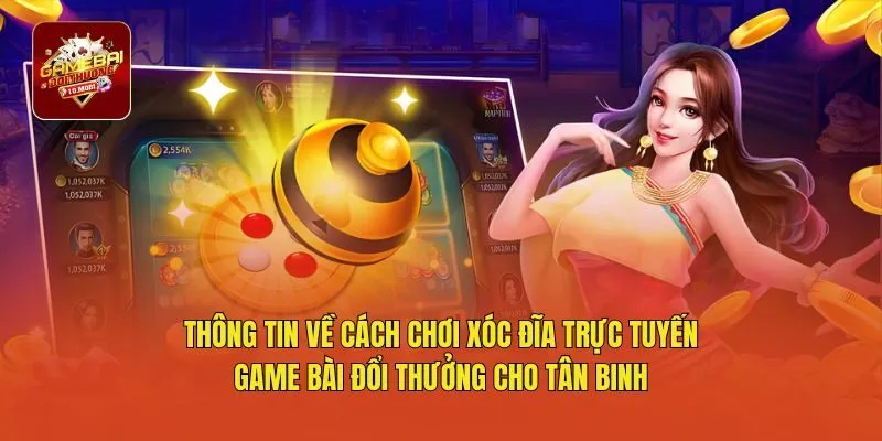 Thông tin về cách chơi xóc đĩa trực tuyến game bài đổi thưởng cho tân binh